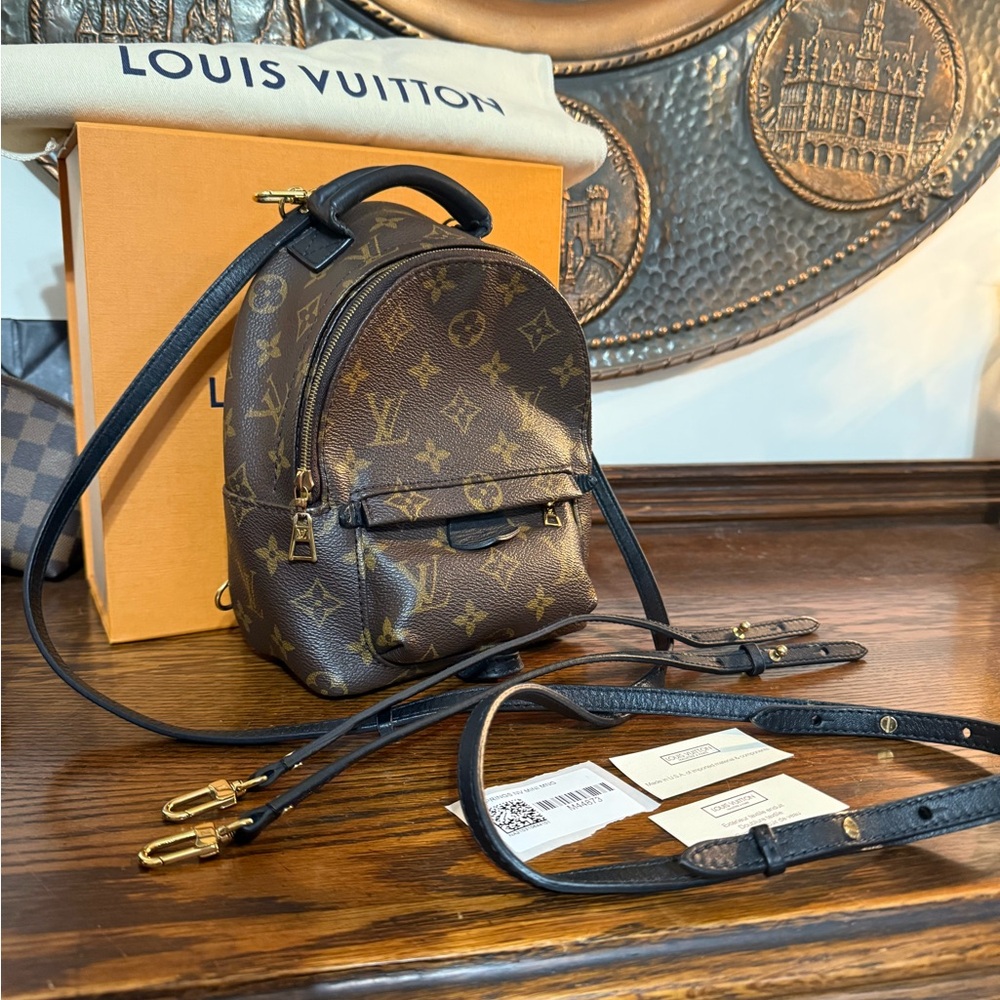 Louis Vuitton Palm Springs Mini